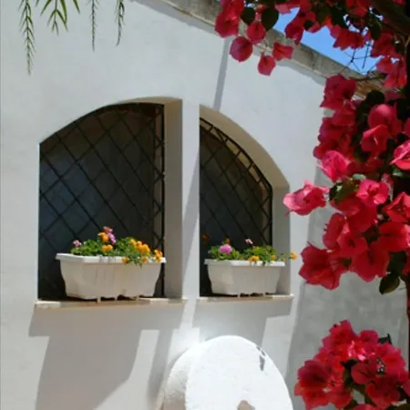 Guest house In Bb - Stunning Quadruple In Ancient Masseria Near The Sea In A Quiet Olive Trees *