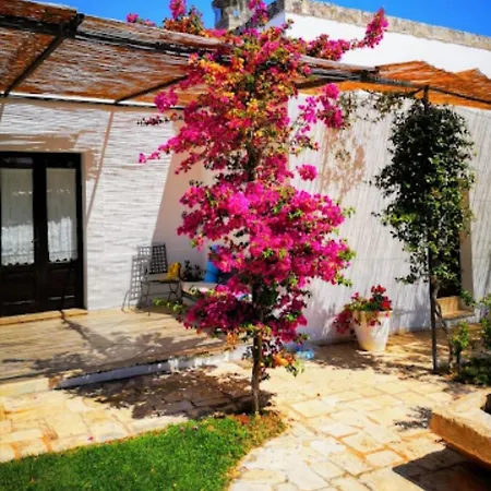 In Bb - Stunning Quadruple In Ancient Masseria Near The Sea In A Quiet Olive Trees