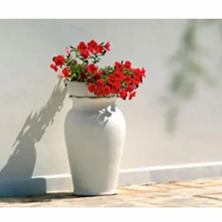 Guest house In Bb - Stunning Quadruple In Ancient Masseria Near The Sea In A Quiet Olive Trees Ostuni