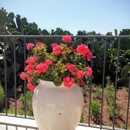 In Bb - Stunning Quadruple In Ancient Masseria Near The Sea In A Quiet Olive Trees